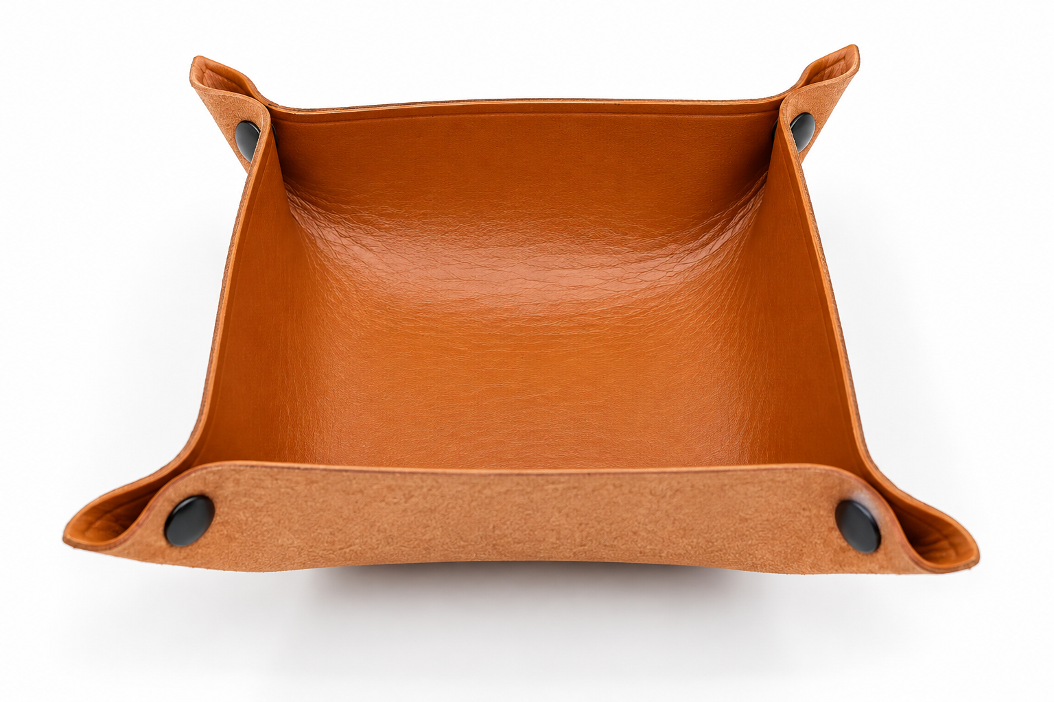 Leather Snap Tray